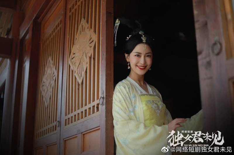 The Only Girl You Haven't Seen China Web Drama